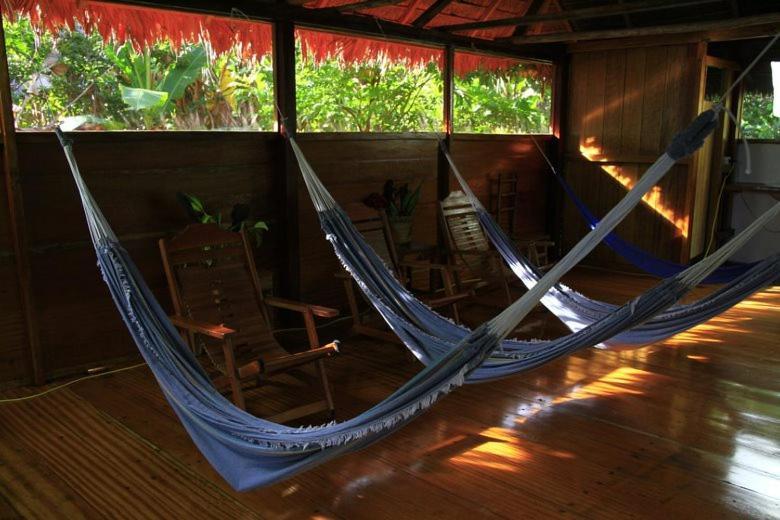 Ecolucerna Lodge Tambopata Puerto Maldonado Exterior photo